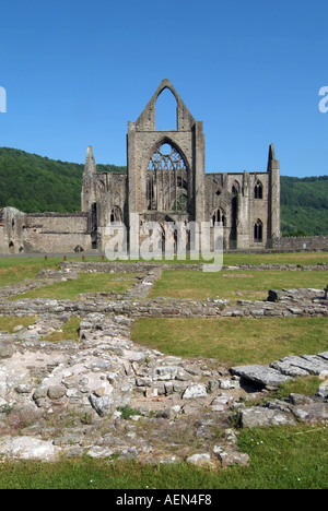 Abbaye de Tintern Monastery ruins dans la vallée de la Wye sur la banque gallois de la rivière Wye Monmouthshire au Pays de Galles UK Banque D'Images