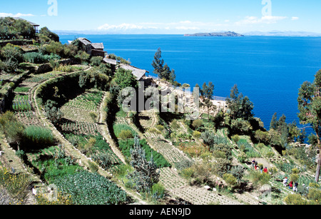 Terrasses, dans l'île de la lune, distance d'Inti Wata complexe culturel sur l'île du soleil, lac Titicaca, près de Copacabana, Bolivie Banque D'Images