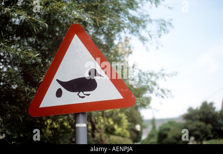 Canards crossing road sign avec ponte Banque D'Images