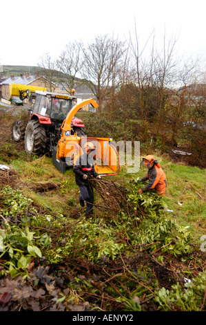 Deux hommes travaillant dans les arbres et arbustes de déchiquetage de Penparcau West Wales Aberystwyth UK Banque D'Images