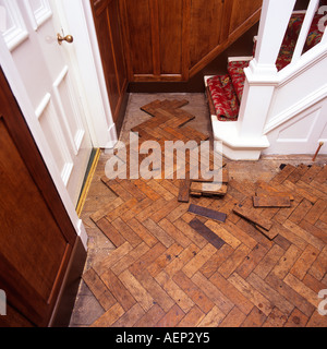 Les améliorations à la maison pose de parquet en chêne parquet bloc Banque D'Images