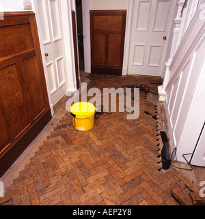 Les améliorations à la maison pose de parquet en chêne parquet bloc Banque D'Images