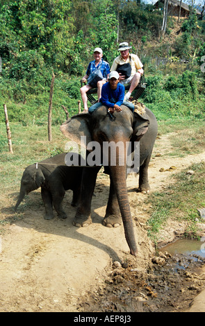 Les touristes à cheval sur l'éléphant, le Mae Ping Elephant Training Camp, Mae Ping, près de Chiang Mai, Thaïlande Banque D'Images