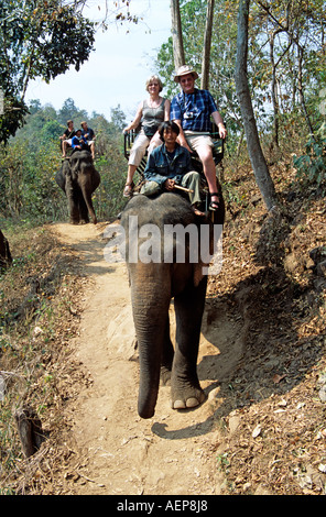 Les touristes à cheval sur l'éléphant, le Mae Ping Elephant Training Camp, Mae Ping, près de Chiang Mai, Thaïlande Banque D'Images