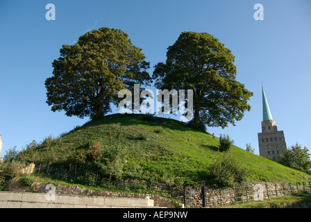 Chêne double arbres plantés sur un monticule à l'extérieur du Château d'Oxford au Royaume-Uni Banque D'Images