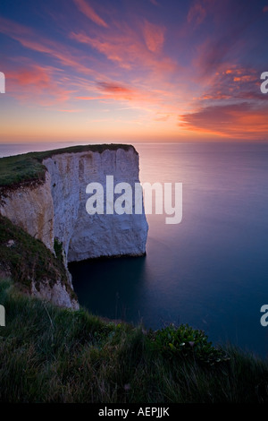 Les falaises de craie blanche sur Old Harry Ballard, Dorset Banque D'Images