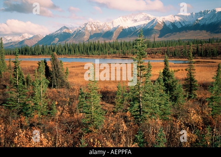 Paysage d'automne le long de la route de l'Alaska intérieur Dalton Banque D'Images