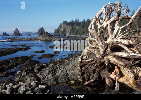 Femmes indiennes Sundra Coulson dans la base d'un vieil arbre mort sur la pointe de la côte de la plage Arches Shi Shi dans Olympic National Park Washington Banque D'Images