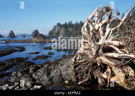 Femmes indiennes Sundra Coulson dans la base d'un vieil arbre mort sur la pointe de la côte de la plage Arches Shi Shi dans Olympic National Park Washington Banque D'Images