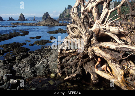 Femmes indiennes Sundra Coulson dans la base d'un vieil arbre mort sur la pointe de la côte de la plage Arches Shi Shi dans Olympic National Park Washington Banque D'Images