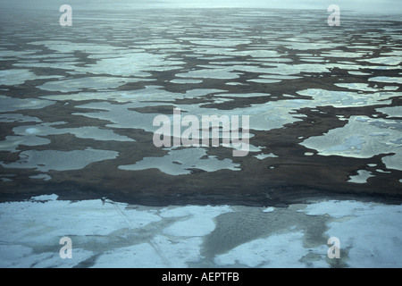 Vue aérienne de liquidation sur la plaine côtière 1002 Versant Nord de la chaîne de Brooks dans l'Arctic National Wildlife Refuge en Alaska Banque D'Images