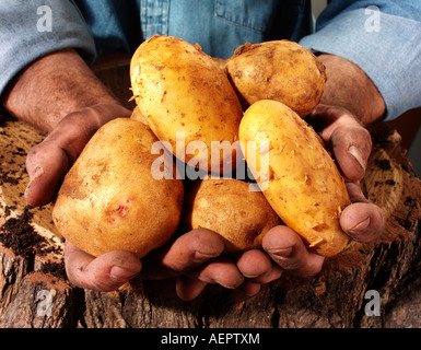 MAN HOLDING CHYPRE POMMES Banque D'Images