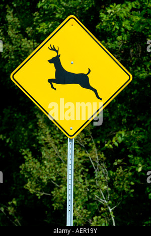 Danger Avertissement Road Sign Deer Crossing Amérique du Nord Banque D'Images