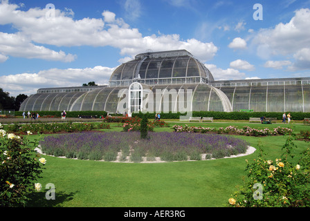 Palm House Parterre, Royal Botanical Gardens, Kew, London Borough of Richmond upon Thames, Greater London, Angleterre, Royaume-Uni Banque D'Images