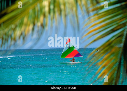 Une école de planche à voile à proximité de l'hôtel grand lido île de la Jamaïque archipel des Grandes antilles caraïbes Banque D'Images