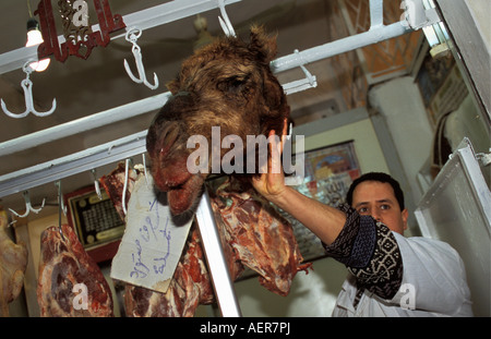 Libye Tripoli Butcher holding la viande de chameau Banque D'Images