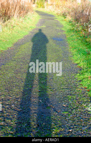 Ombre de l'homme allongé sur le trottoir en fin d'après-midi Banque D'Images