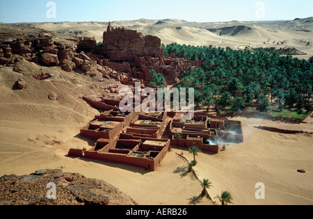 Oasis de règlement de beni abbes sahara Algérie Banque D'Images