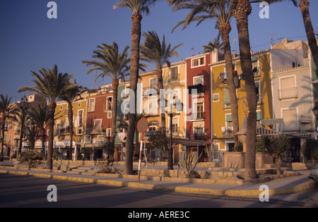 Couleur de Villajoyosa, maisons typiques et de palmiers, Blanca Province d'Alicante Valence Espagne Banque D'Images