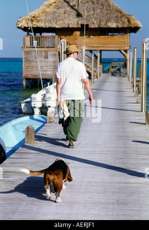 Un homme qui marche à un palapa bar à Ambergris, Belize étant suivi d'un basset hound dog. Banque D'Images
