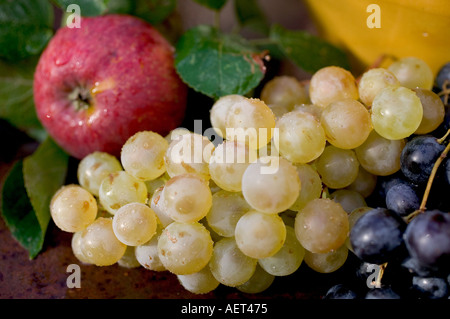 La VIE TOUJOURS DE SAISON AVEC UN ASSORTIMENT DE FRUITS D'AUTOMNE Banque D'Images