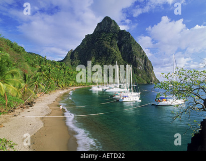 Petit Piton au-dessus de la Baie d'Margretoute sur St Lucia près du village de Soufrière dans West Indies Banque D'Images