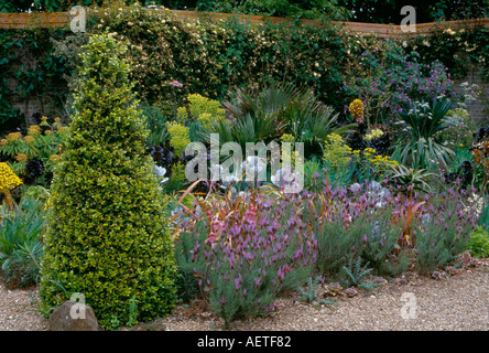 Jardin de la Cour à l'EAST RUSTON OLD VICARAGE NORFOLK EN MAI Banque D'Images