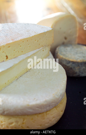 Sélection de fromages gallois sur table de ferme. Banque D'Images