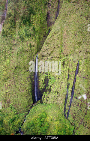 Cascades dans le canyon à côté de Mt Wai Ale Ale l'un des endroits les plus humides de la planète HI Kauai Banque D'Images