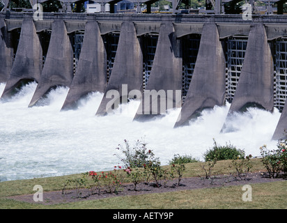 Une vue de la Bonneville sortie barrage hydroélectrique sur le fleuve Columbia Banque D'Images