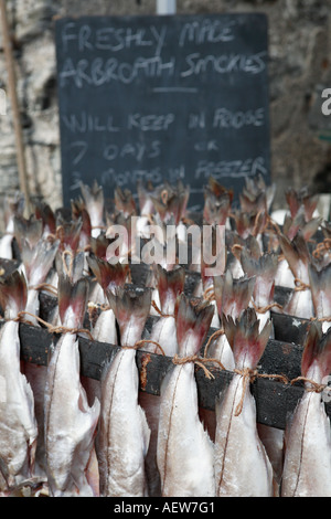 L'aiglefin cuit poisson mer Smokies, gros plans de fumé, fumé à chaud des spécialités de fruits de mer en conserve, du nord-est de l'Ecosse, Moray, London, UK Banque D'Images