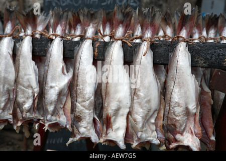 L'aiglefin cuit le poisson fumé, Smokies préservés des spécialités de fruits de mer, du nord-est de l'Ecosse, Moray, London, UK Banque D'Images