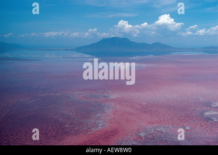 Vue aérienne du lac Natron dans la vallée du Grand Rift Tanzanie Afrique de l'Est Banque D'Images