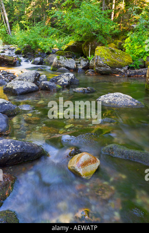 Nickel Creek Mount Rainier National Park Washington Banque D'Images