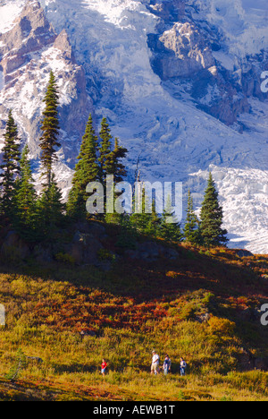 Randonneurs sur le sentier Skyline sous le Mont Rainier le Mont Rainier National Park Washington Banque D'Images