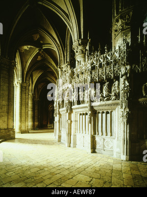 Les sculptures de la cathédrale de Chartres écran choeur Patrimoine DE CHARTRES FRANCE Banque D'Images