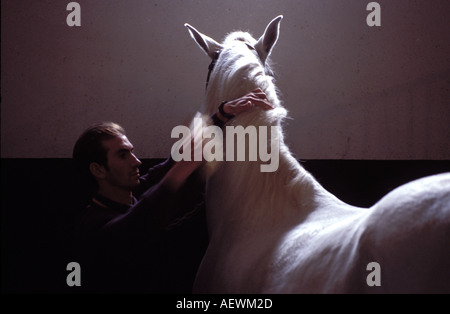 Un cheval Pure Race espagnol de la Real Escuela Andaluz del Arte Ecuestre à Jerez de la Frontera Banque D'Images