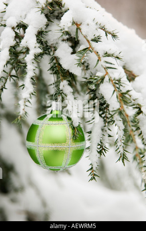 One Christmas ornament hanging in tree Banque D'Images