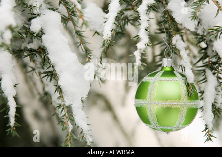 One Christmas ornament hanging in tree Banque D'Images