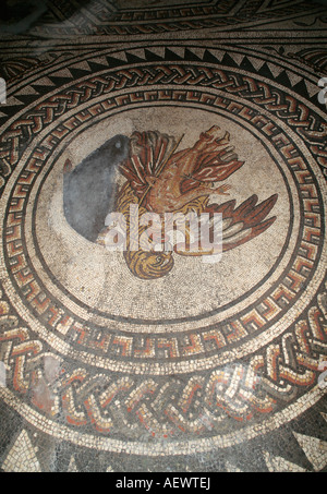 Marbre mosaïque représentant l'enlèvement de Ganymède par Zeus déguisé en un grand aigle. Bignor Roman Villa Sussex UK Banque D'Images