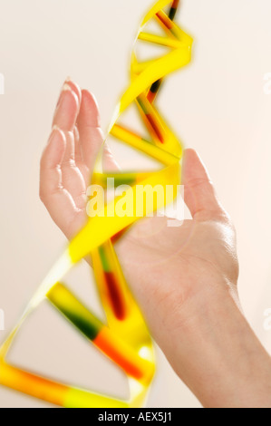 Hand holding DNA model Banque D'Images