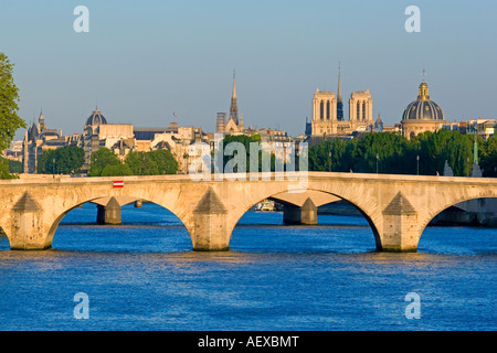 Paris France vue de la Seine et la cathédrale Notre-Dame à partir de la passerelle Solférino au printemps Banque D'Images