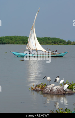 Une pirogue à voile à Luo arrivant à Dunga près de Kisumu au Kenya Afrique de l'Est Banque D'Images