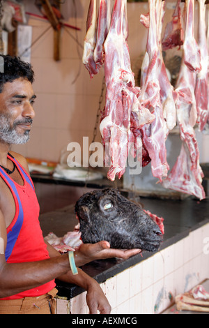 La chèvre de boucherie halal holding crâne à store vente de viande de mouton et d'agneau exclusivement. Margao Nouveau marché à Goa en Inde. Banque D'Images