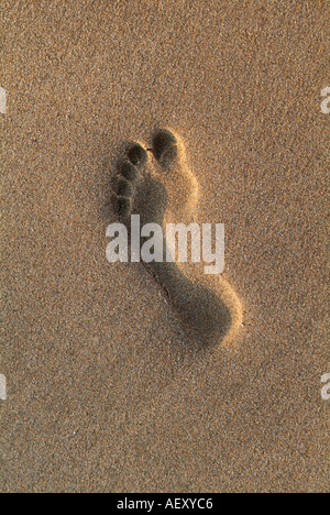 Empreinte sur sand at beach Banque D'Images