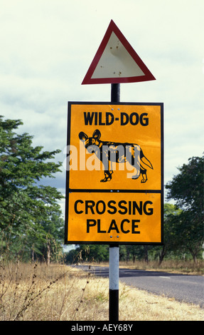 Zimbabwe Bulawayo, signe de route traversant la place de chien de chasse peint Banque D'Images