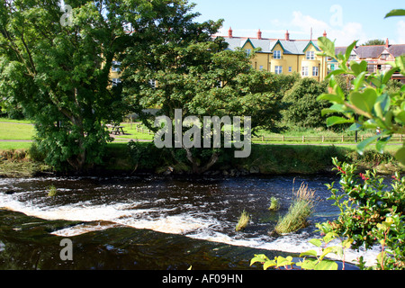 Grand arbre sur la rive de la rivière Bush en ville de Bushmills, comté d'Antrim, en Irlande du Nord Banque D'Images