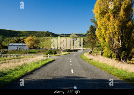 Couleurs d'automne et de la route près de Martinborough Nouvelle Zélande du nord de l'île de Wairarapa Banque D'Images