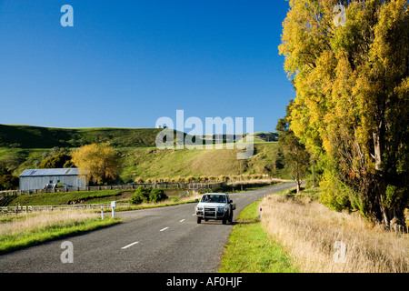 Couleurs d'automne et de la route près de Martinborough Nouvelle Zélande du nord de l'île de Wairarapa Banque D'Images