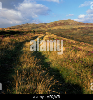 Vue du haut vers le bas sur le Dartmoor Lydford, UK, vers Brat Tor et Croix Widgery au coucher du soleil Banque D'Images